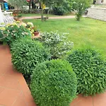 Iva Apartman *