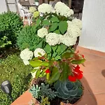 Apartment Iva Porec