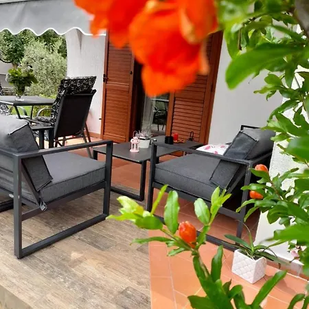 Apartment Iva