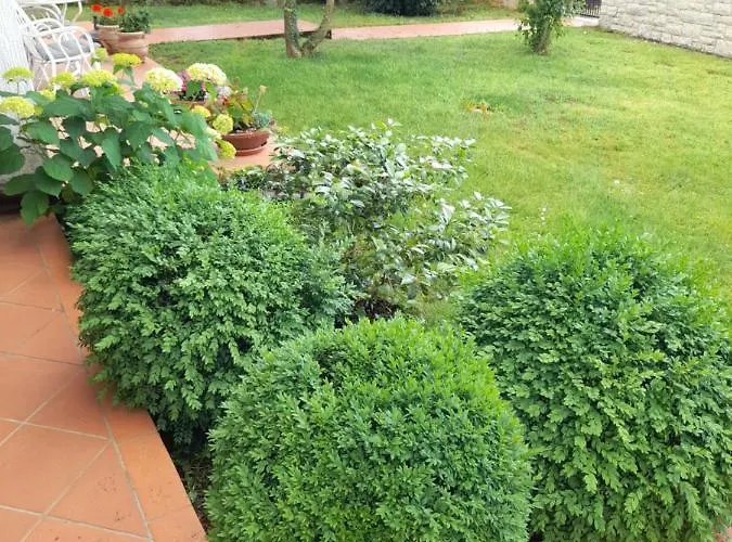 Iva Апартаменты *